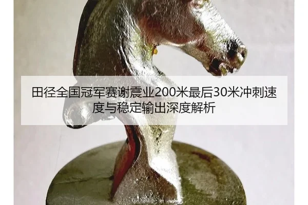 tian-jing-quan-guo-guan-jun-sai-xie-zhen-ye-mi-zui-hou-mi-chong-ci-su-du-yu-wen-ding-shu-chu-shen-du-jie-xi-2-143.jpg