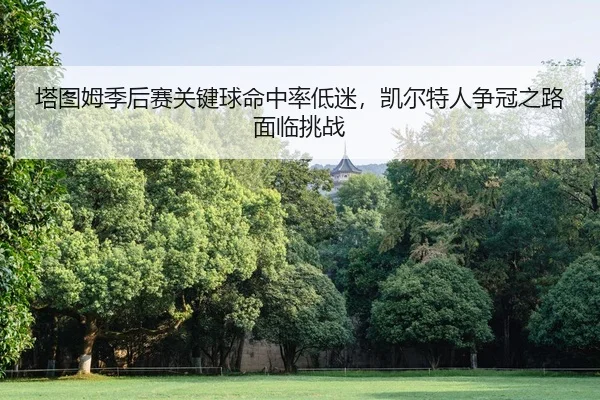 ta-tu-mu-ji-hou-sai-guan-jian-qiu-ming-zhong-lv-di-mi-kai-er-te-ren-zheng-guan-zhi-lu-mian-lin-tiao-zhan-2-959.jpg